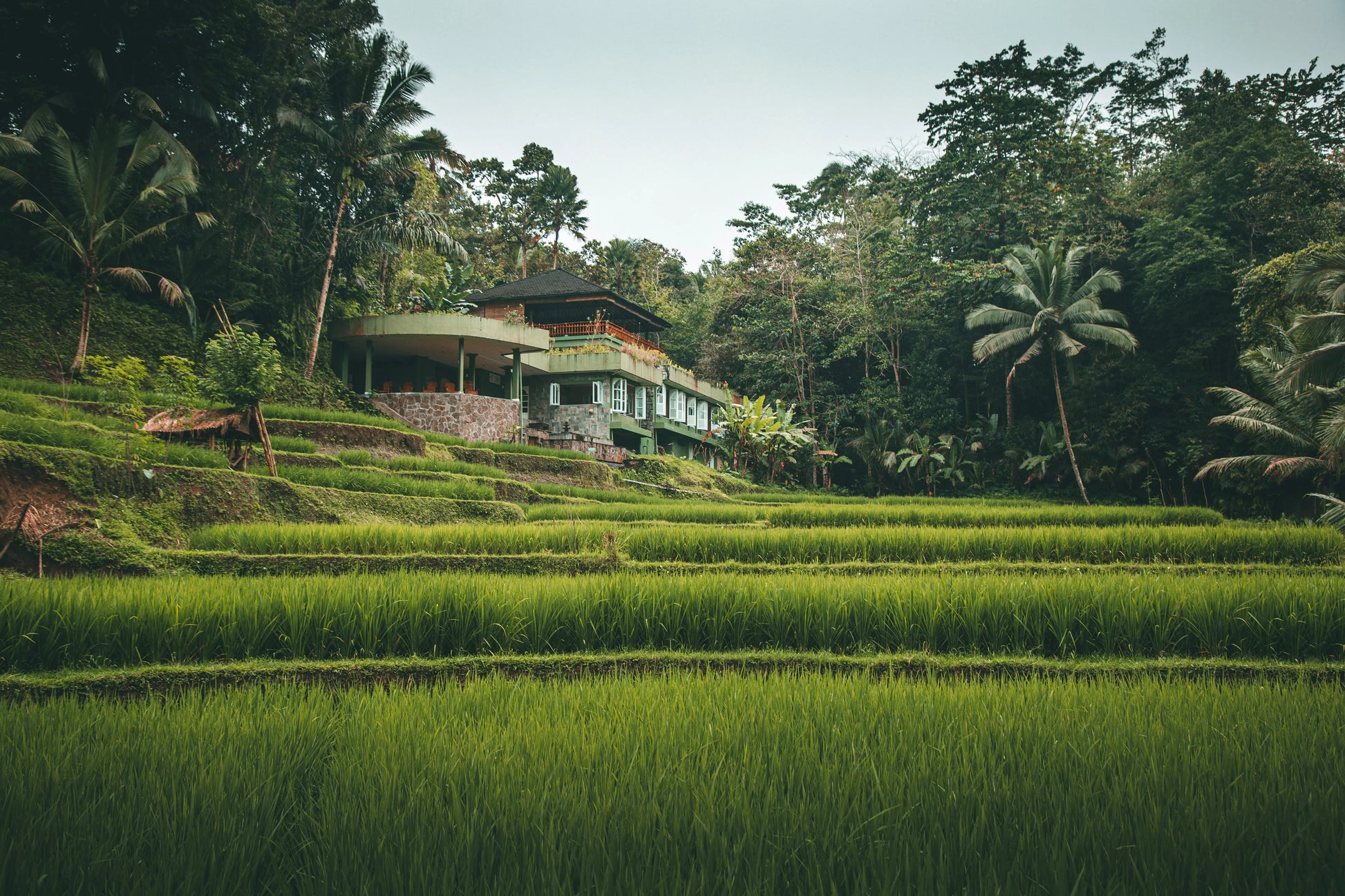 LOST | Bali - Image #1