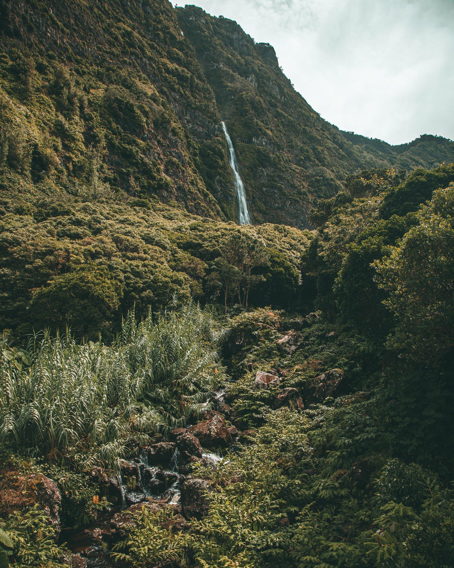 Nature | Azores - Image #1