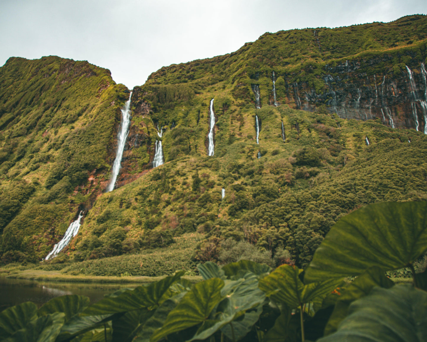 Flores Waterfall | Azores - Image #1